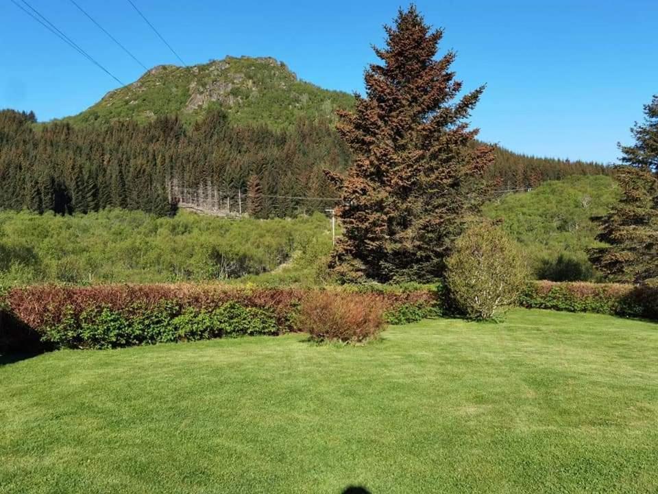 Apartment Banpim Hillside Lofoten With Jacusszi Gravdal (Vestvagoy)