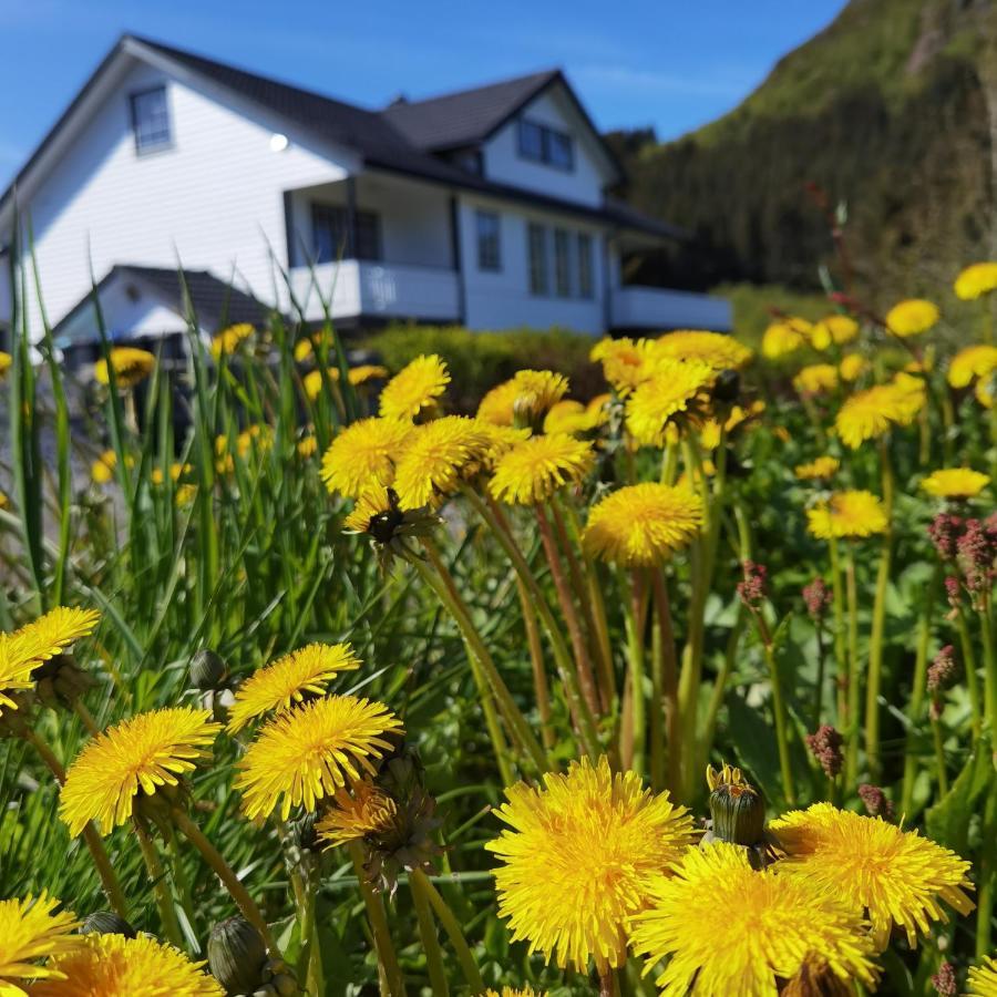 Banpim Hillside Lofoten With Jacusszi